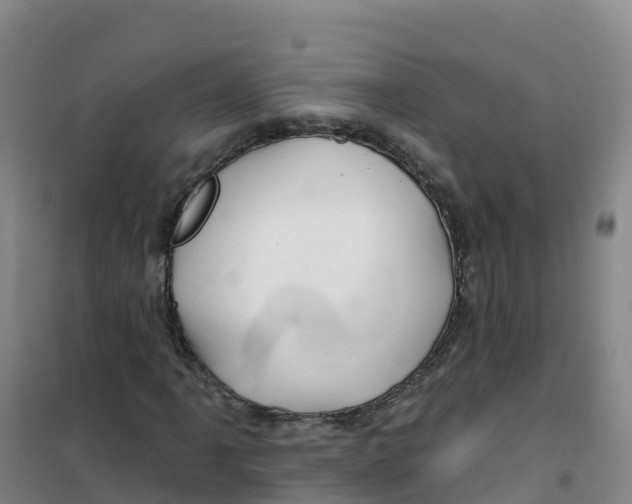 X0000100371061200807031857