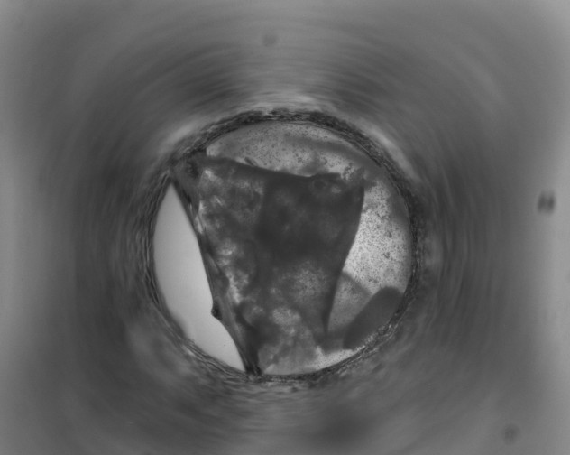 X0000100371063200807031857