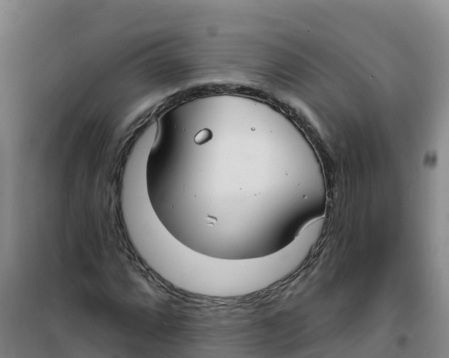 X0000100371064200807031857