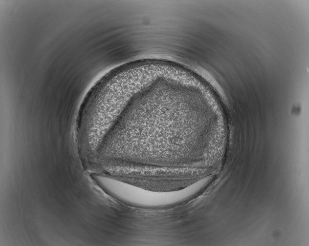 X0000100371068200807031857