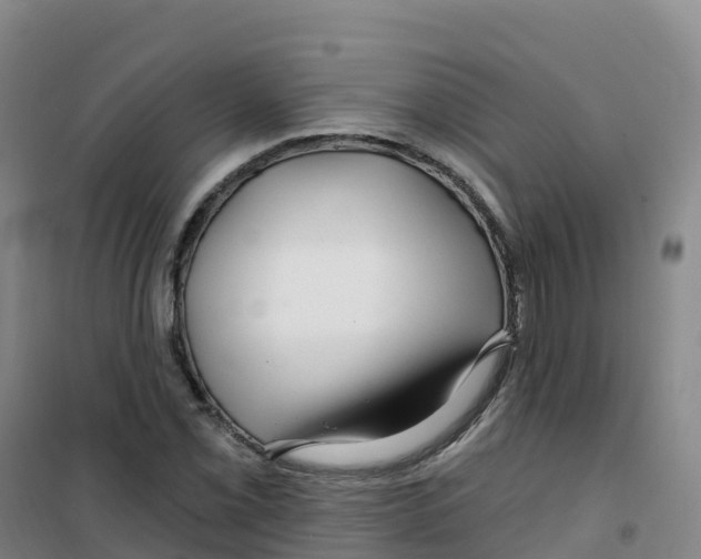 X0000100371069200807031857