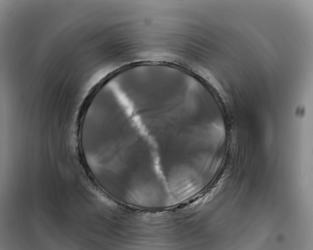 X0000100371071200807031857