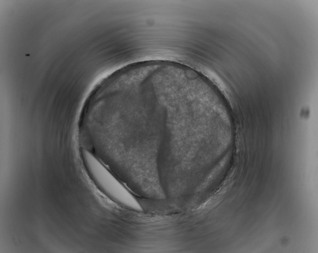 X0000100371072200807031857