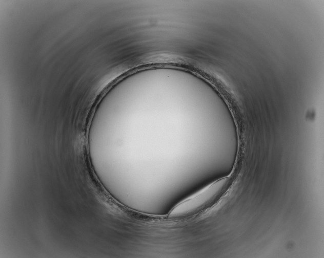 X0000100371073200807031857