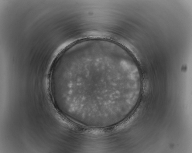 X0000100371074200807031857