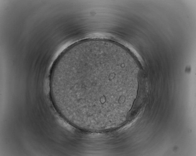 X0000100371075200807031857