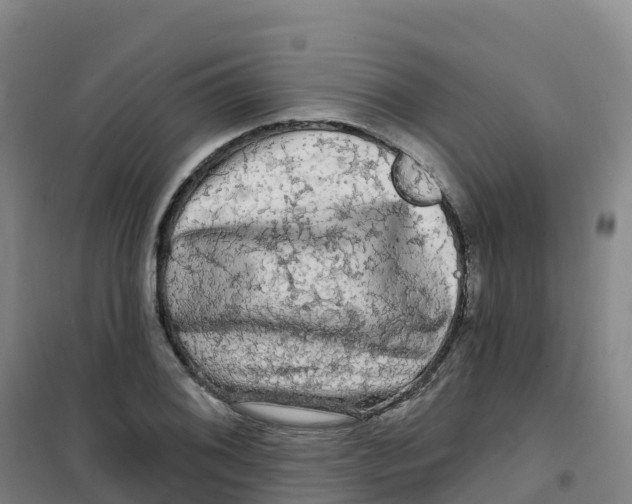 X0000100371076200807031857