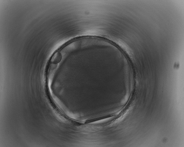 X0000100371077200807031857