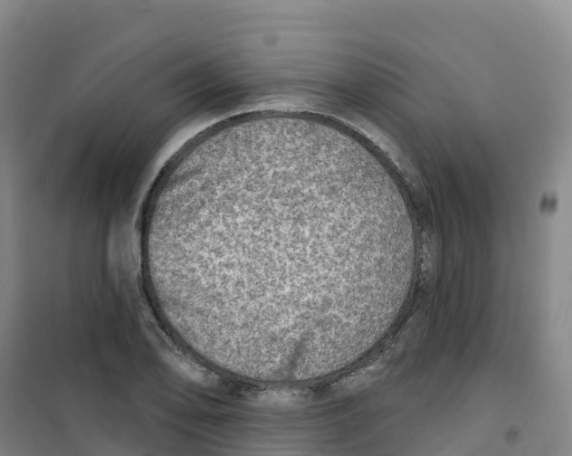 X0000100371078200807031857