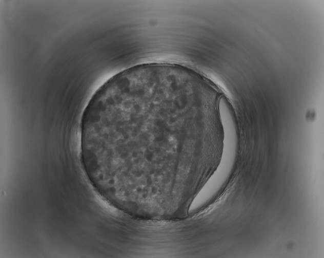 X0000100371079200807031857