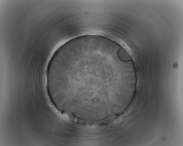 X0000100371080200807031856