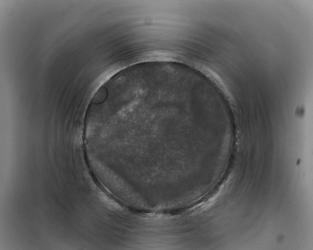 X0000100371081200807031856