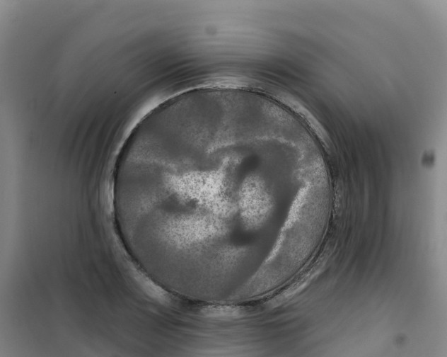 X0000100371083200807031856