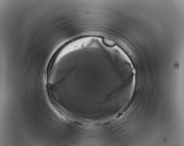 X0000100371084200807031856