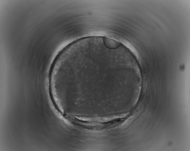 X0000100371088200807031856