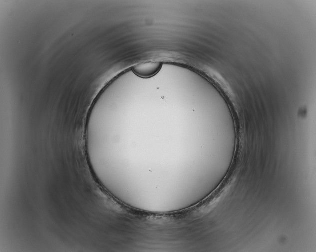 X0000100371089200807031856