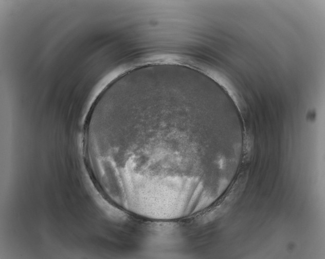 X0000100371090200807031856