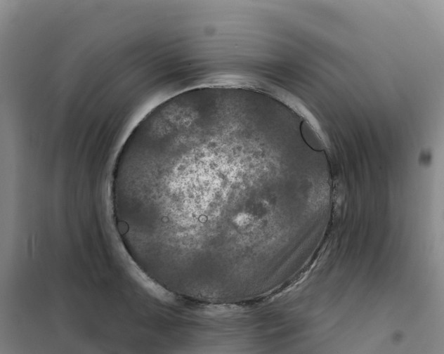 X0000100371091200807031856