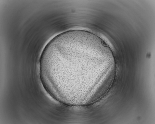 X0000100371092200807031856