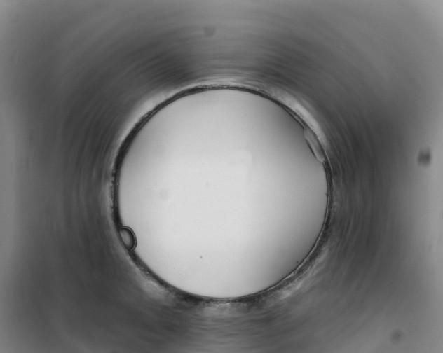 X0000100371093200807031856