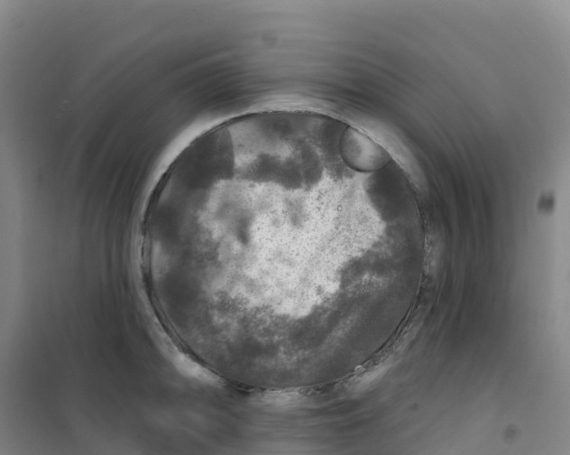 X0000100371094200807031856