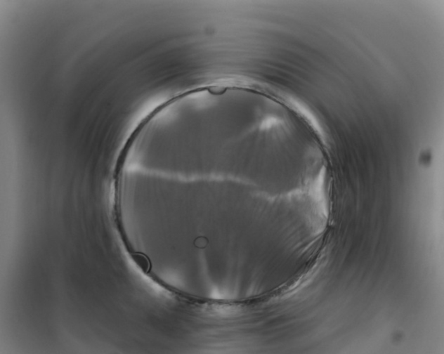 X0000100371095200807031856