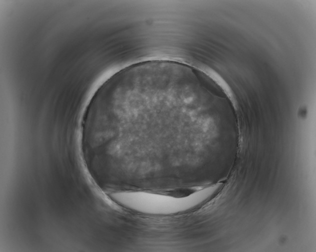 X0000100371096200807031856