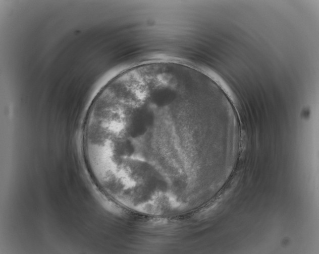 X0000100371098200807031856