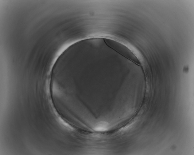 X0000100371102200807031856