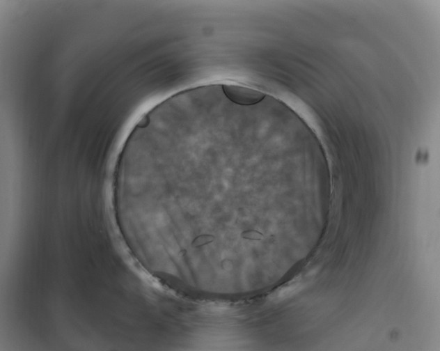 X0000100371104200807031856