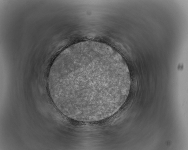 X0000100371105200807031855