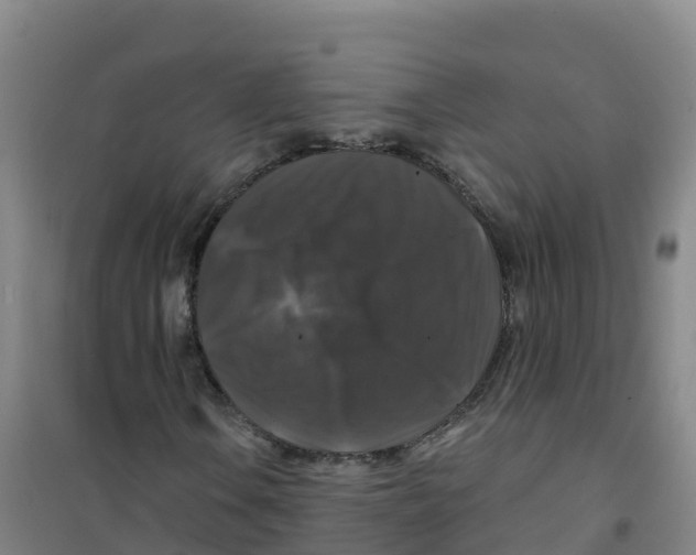 X0000100371106200807031855