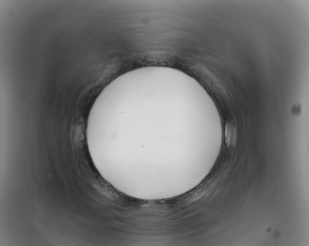 X0000100371107200807031856