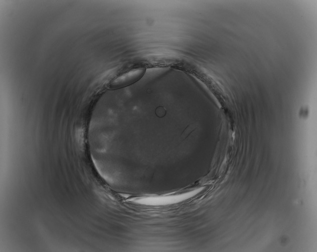 X0000100371108200807031856