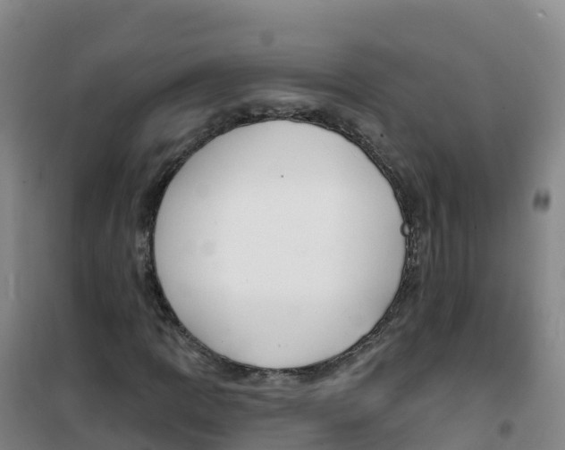 X0000100371109200807031856