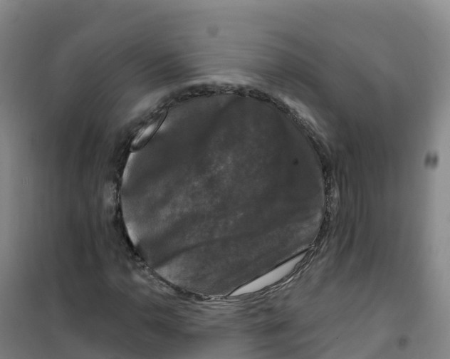 X0000100371110200807031856