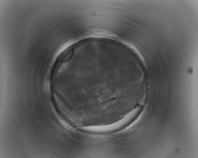 X0000100371114200807031856