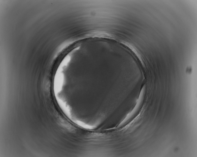 X0000100371115200807031856