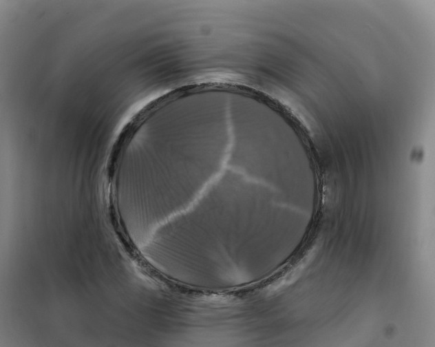 X0000100371117200807031856