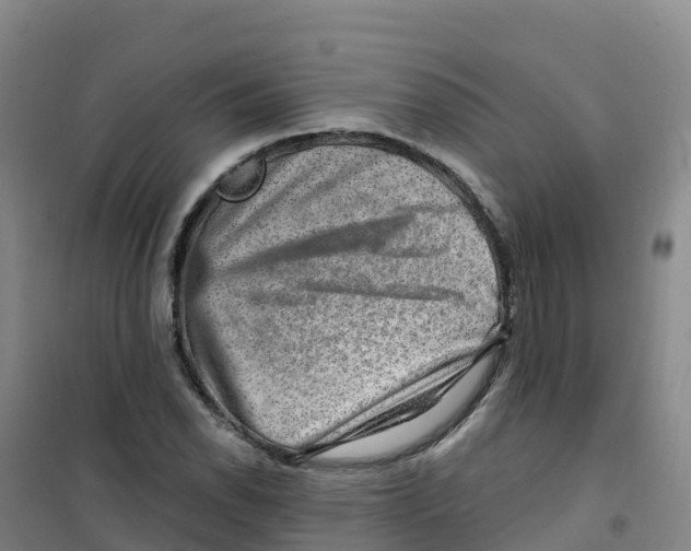 X0000100371118200807031856