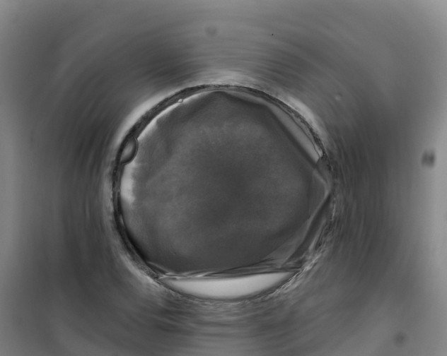 X0000100371120200807031856