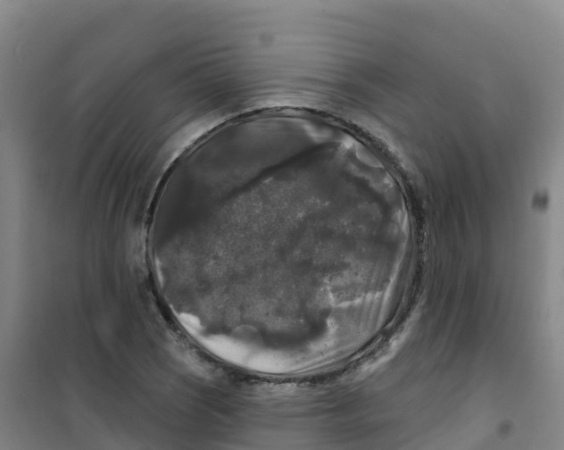 X0000100371121200807031856