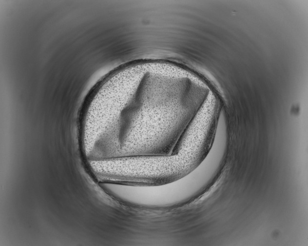 X0000100371122200807031856