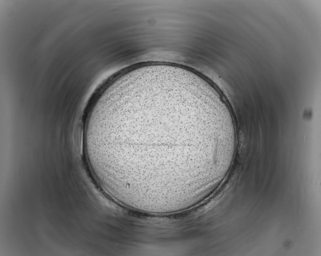 X0000100371123200807031856