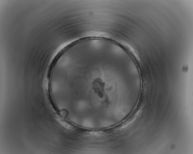 X0000100371125200807031856