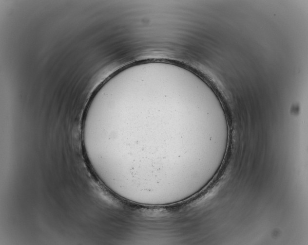 X0000100371129200807031856