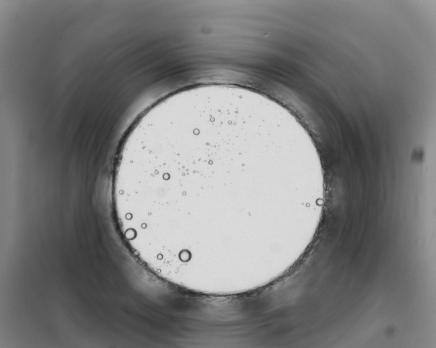 X0000100371130200807031856