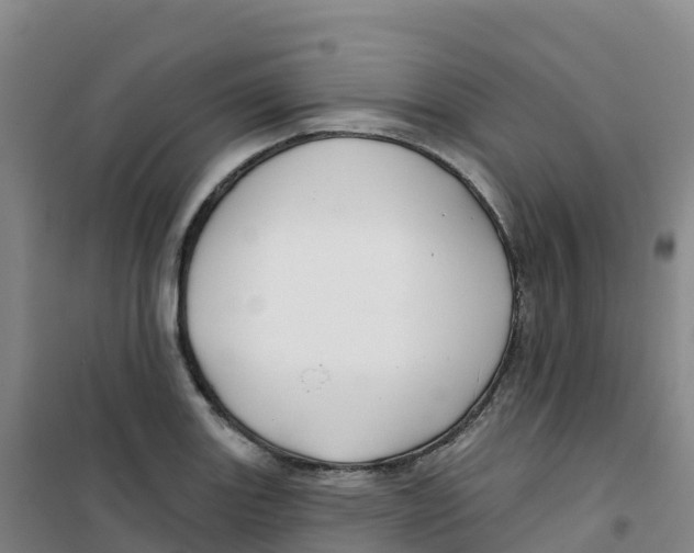 X0000100371131200807031856