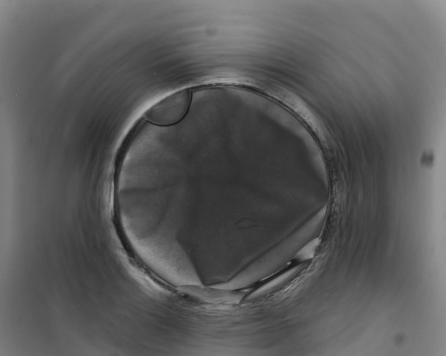 X0000100371132200807031856