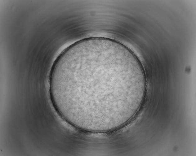 X0000100371133200807031856